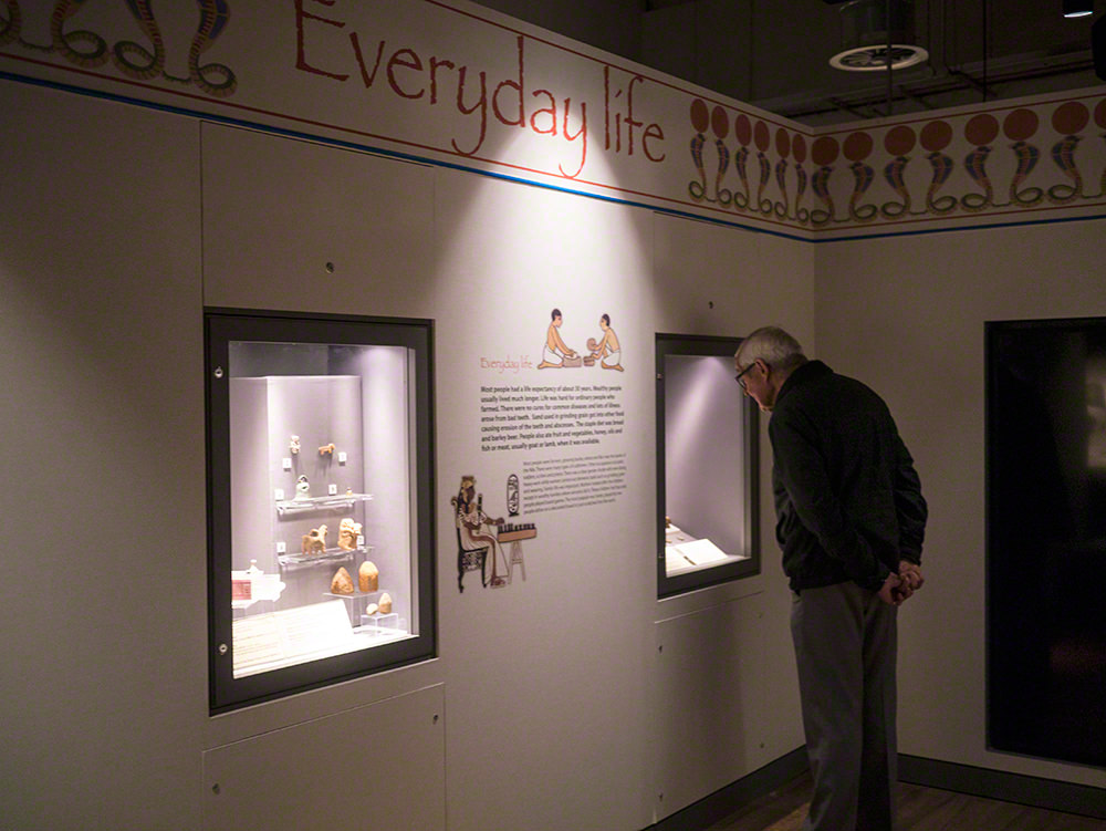 A man standing and looking in a display case