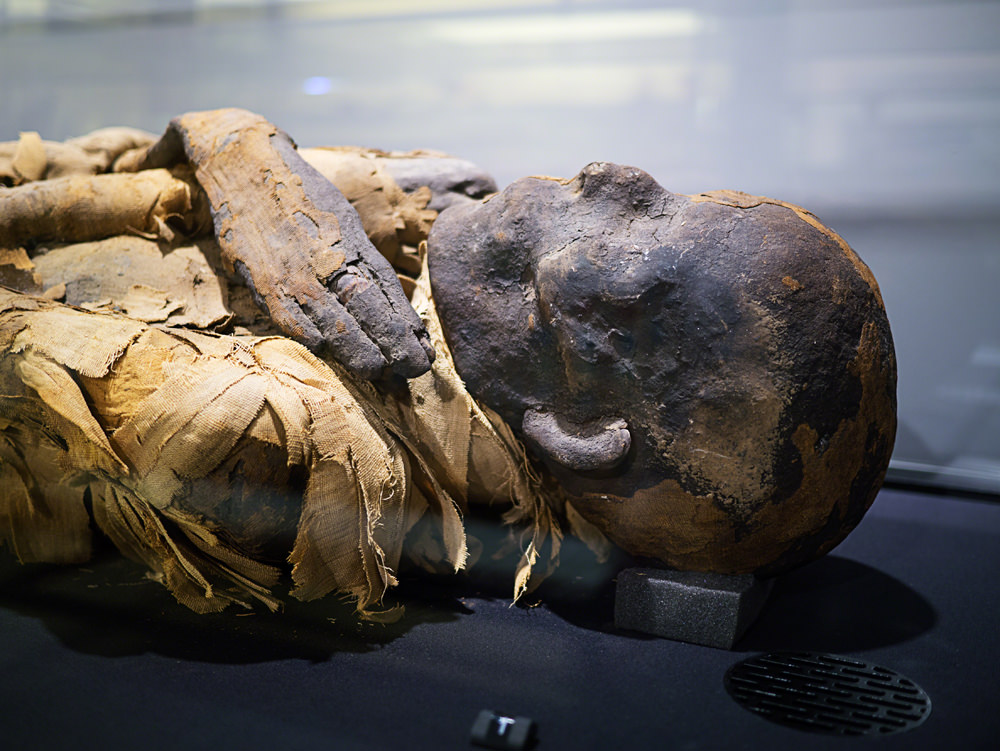 the head and shoulders of an Egyptian mummy, taken from side on. The head and hands are exposed; the rest is covered in linen bandages