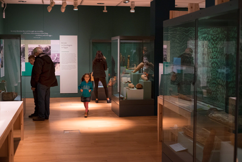 A view down one of the galleries with people looking at the exhibits. A young girl is walking down the middle of the gallery