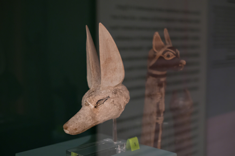 The jackal is plain limestone with paint around the eyes only. It has very long, pointed ears. In the background is a cat mummy