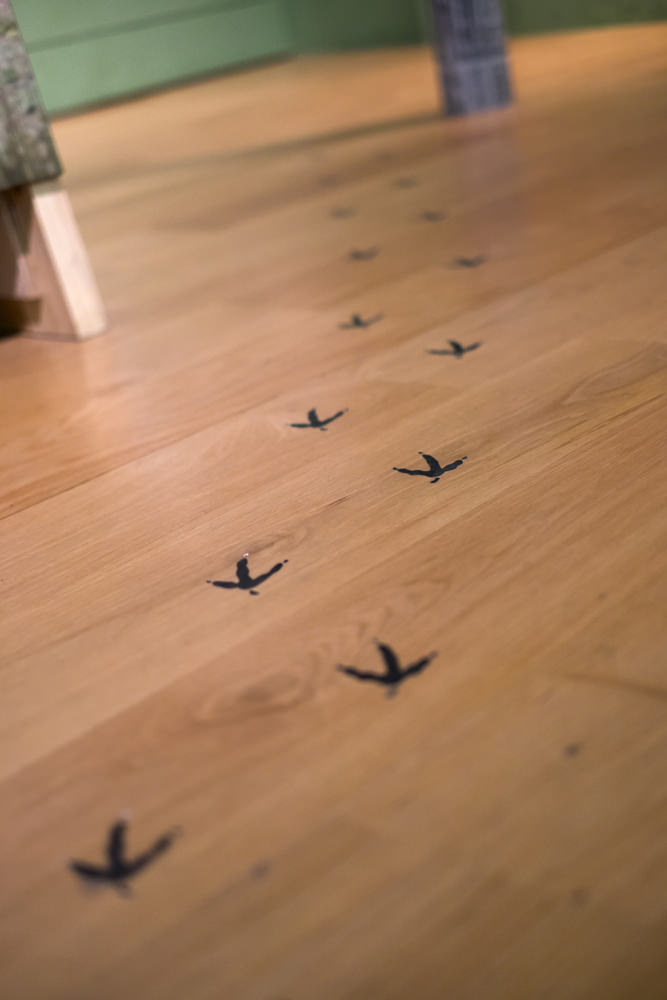 Bird footprint stickers on the floor, leading you around the exhibition