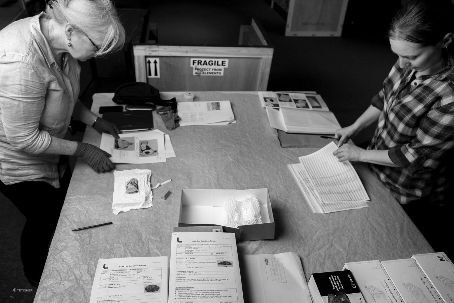 museum conservators unpacking ancient egyptian artefacts