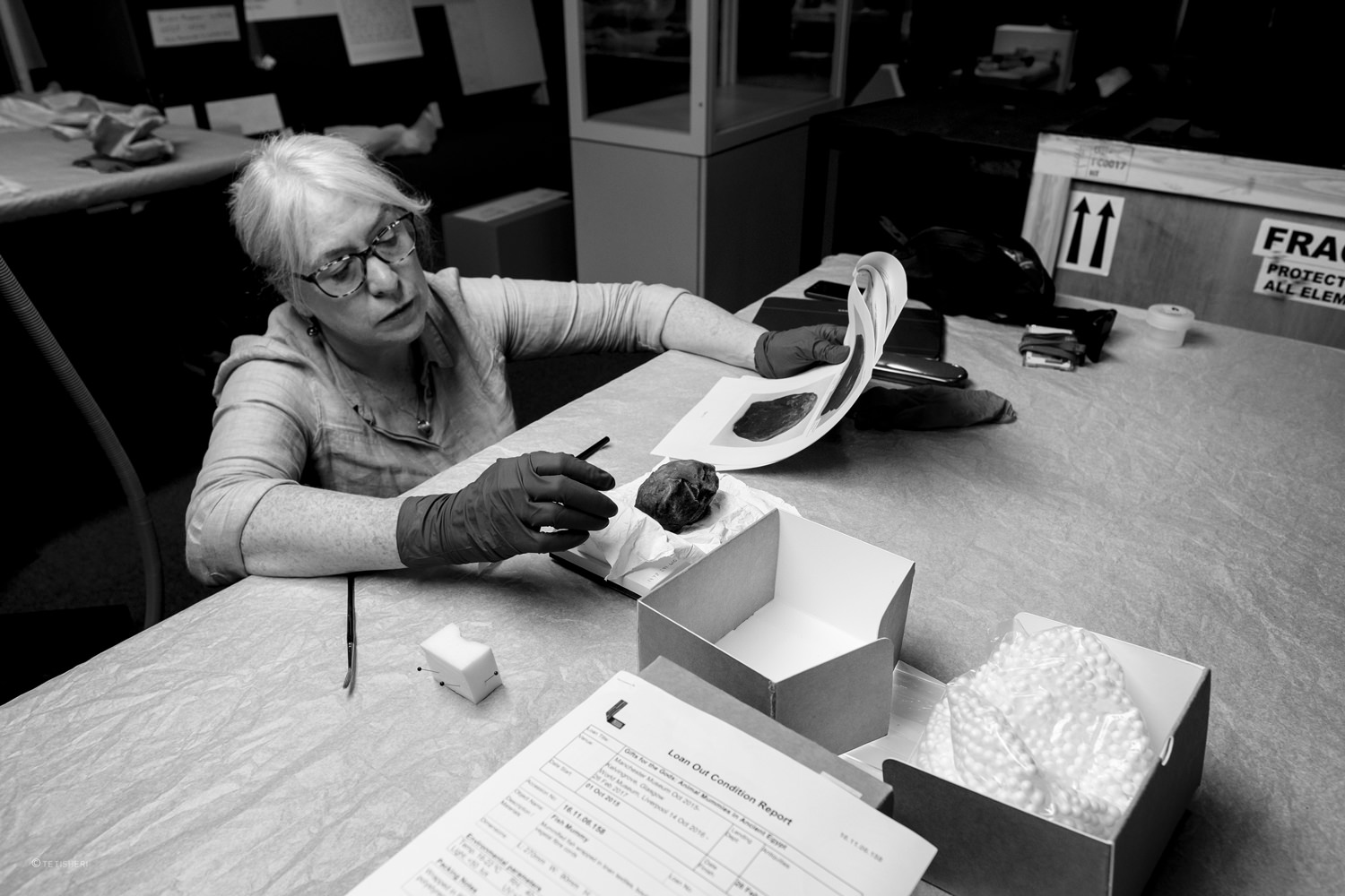 museum conservators unpacking ancient egyptian artefacts