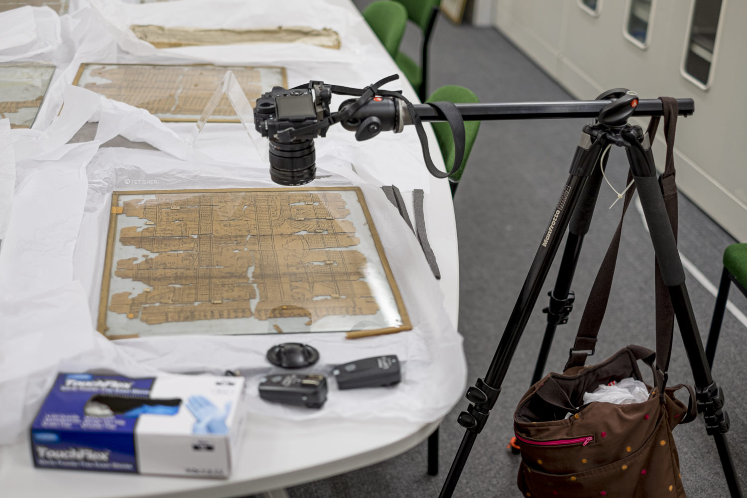 a camera on a tripod photography egyptian papyrus