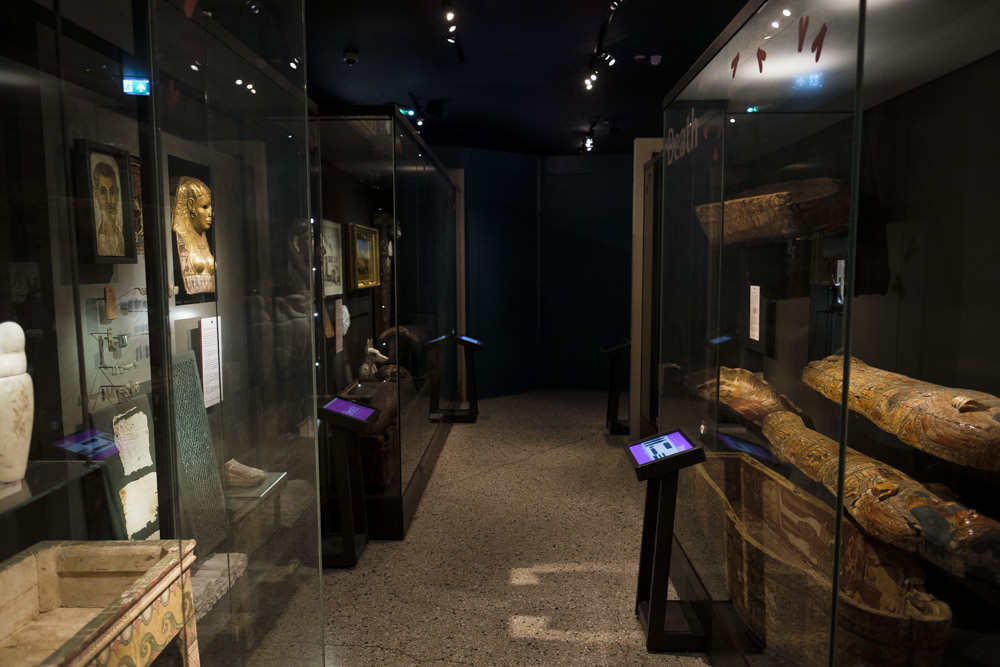 A museum gallery with ancient Egyptian artefacts on display