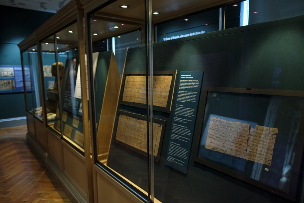 A museum exhibition room with ancient Egyptian objects on display