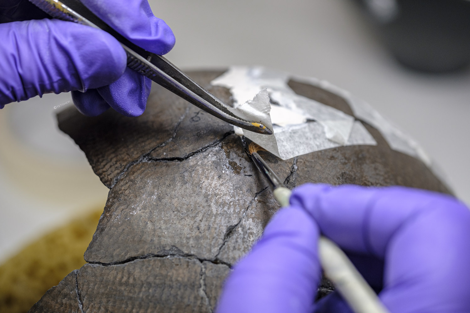 A conservator removing tape from an ancient Egyptian pot