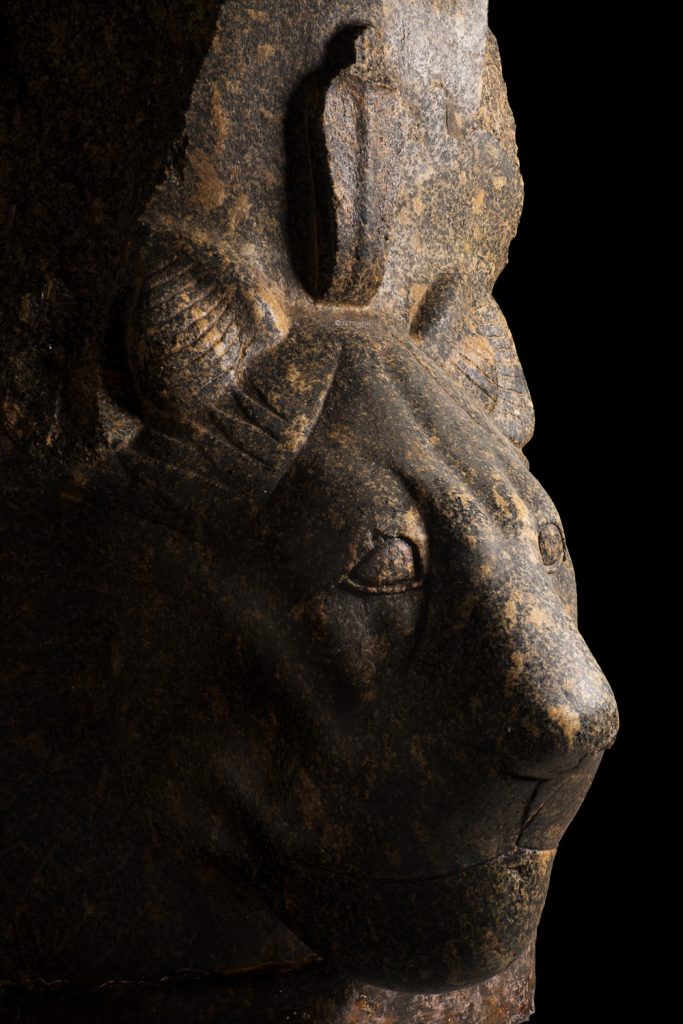 quarter profile of the head of a granite statue of the egyptian goddess sekhmet