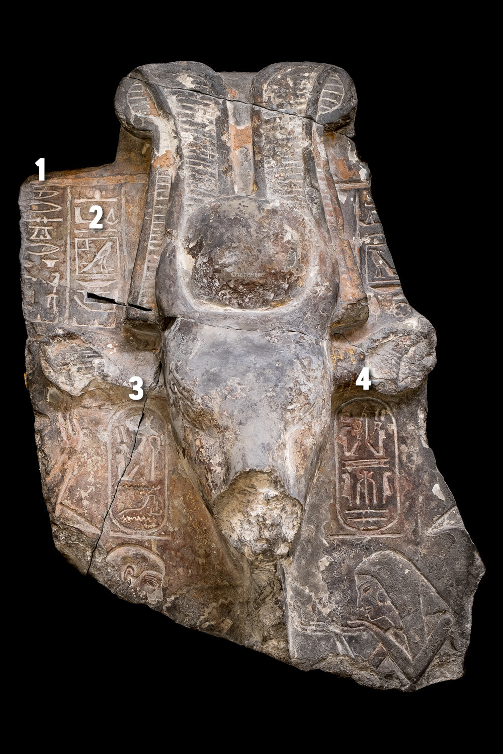 A fragment of an Egyptian statue of a cow's head with hieroglyphs carved around it.