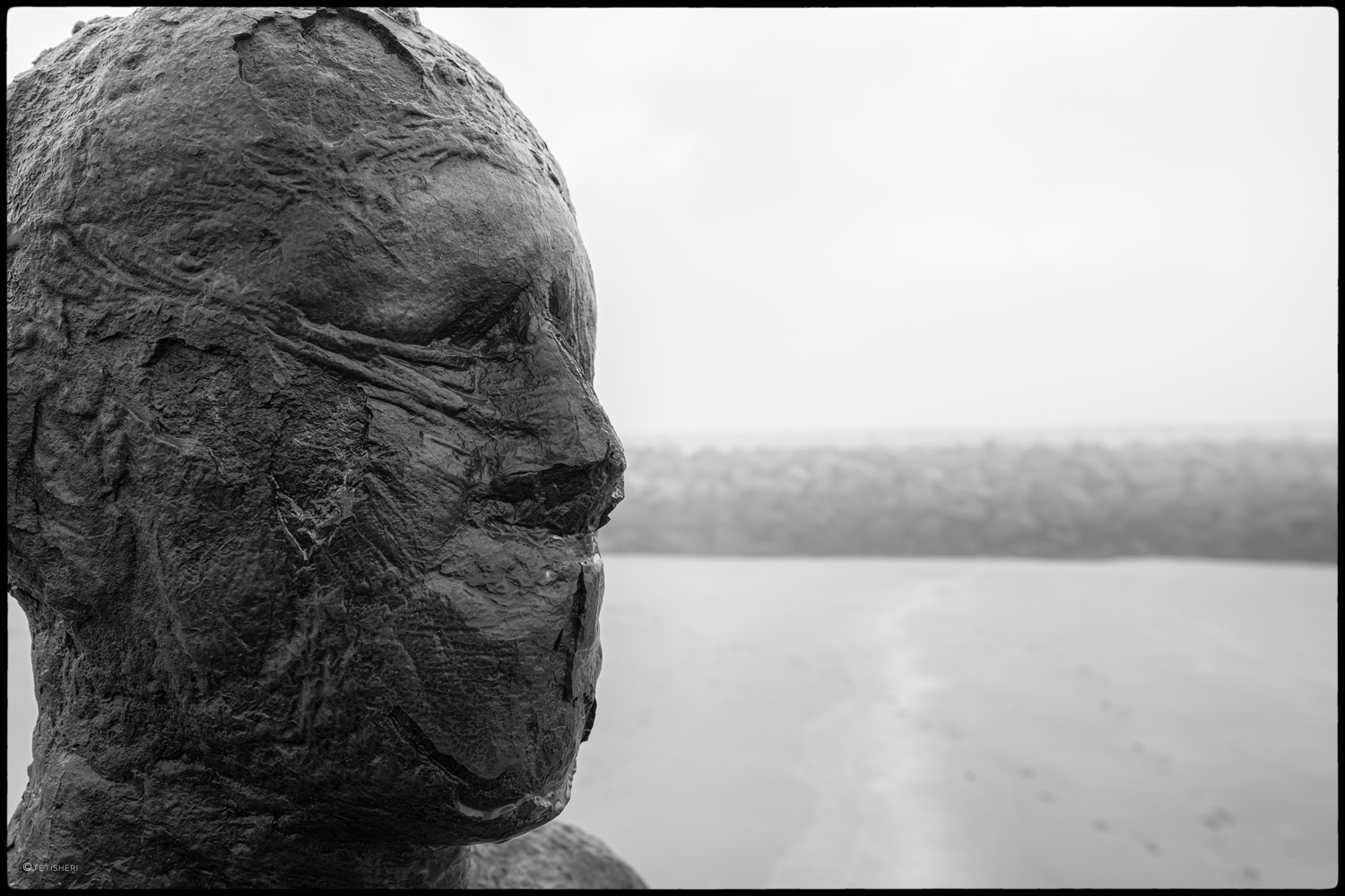the side of the head of an anthony gormley another place iron man statue