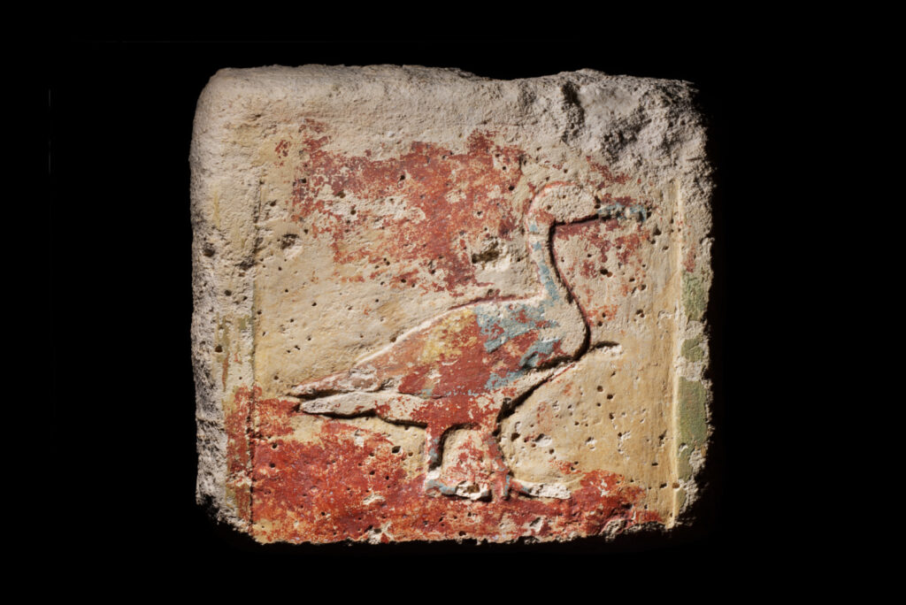 A square piece of stone with a duck hieroglyph carved in raised relief and traces of red and blue paint in places.