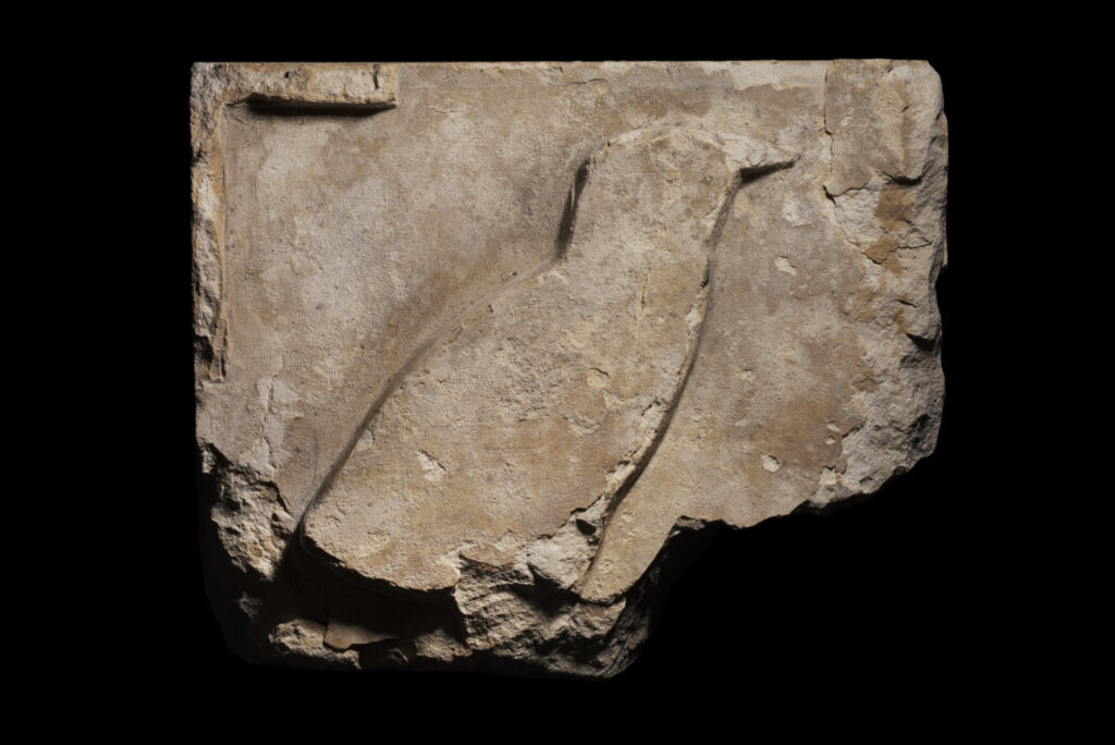 A fragment of a square piece of limestone with a quail chick hieroglyph carved in raised relief. The bird is plain, with no detail, and looks unfinished.