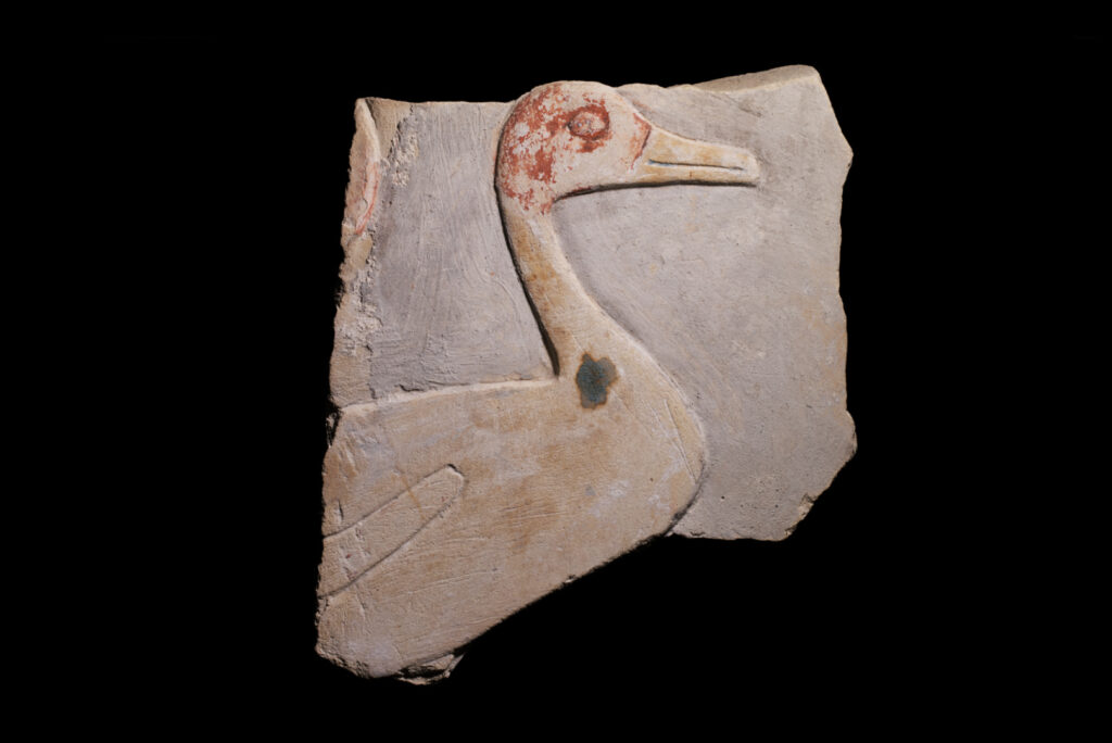 A fragment of limestone with part of a bird hieroglyph. There's remnants of blue and red paint.