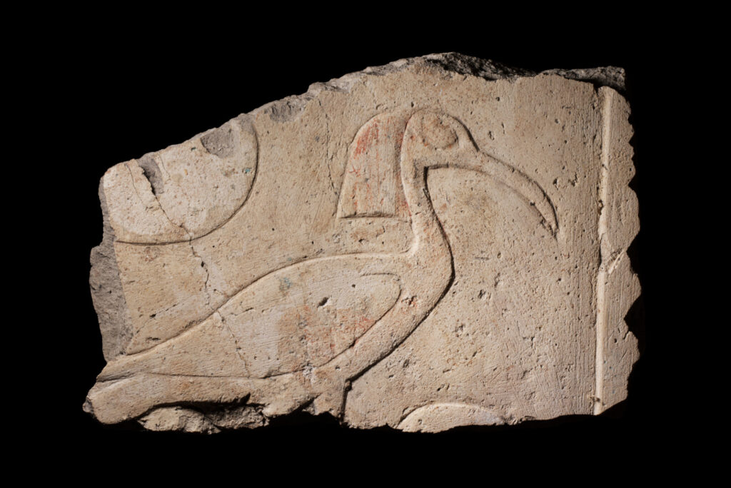 A fragment of limestone with a carving in raised relief of an akh-bird - a bird with a long, curved bill and crested feathers at the back of its head.