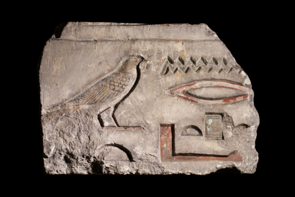 A fragment of limestone with inscribed hieroglyphs, including a bird, water, a mouth and an arm.