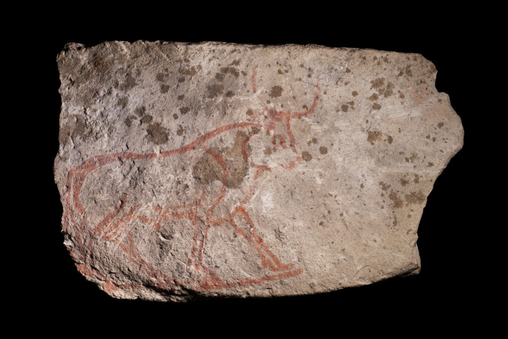 A fragment of stone with a sketch of an ox painted in red.