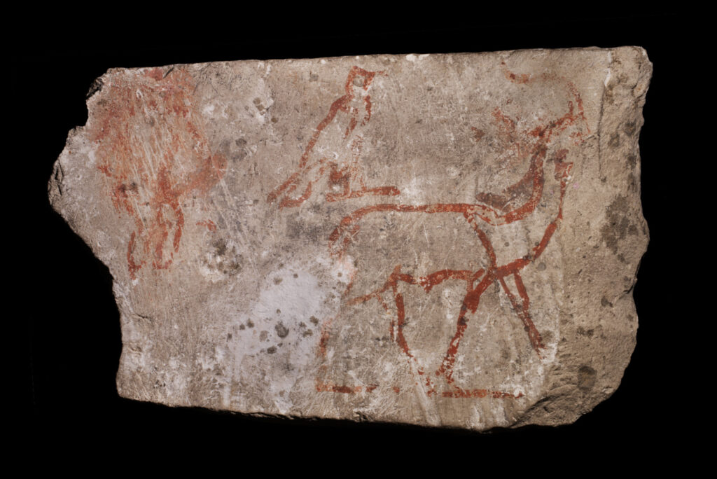 A fragment of stone with sketches of animals painted in red, including a gazelle and a bird.