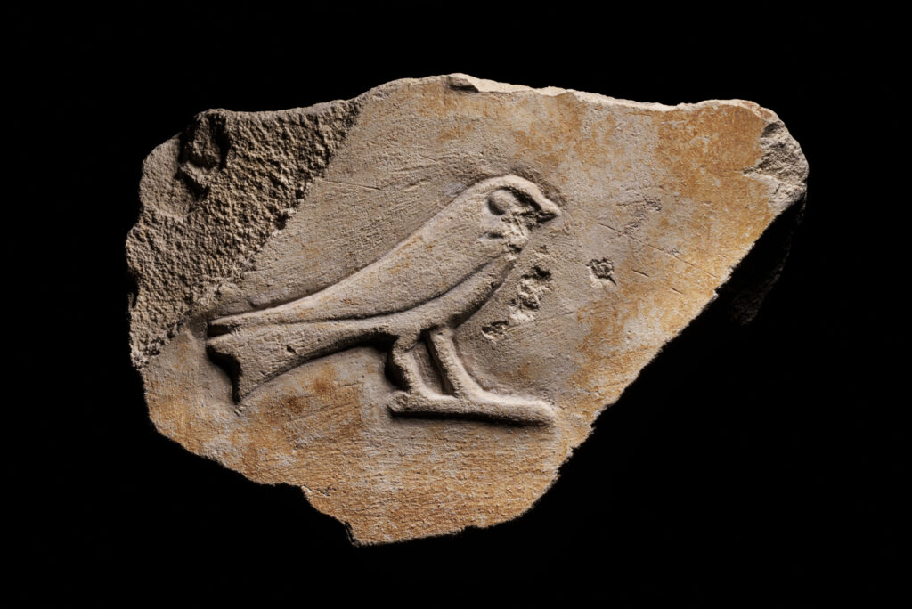 A triangular fragment of limestone with a swallow hieroglyph carved in raised relief.