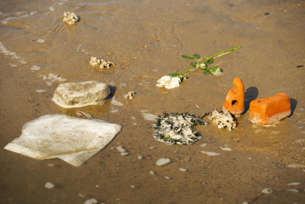 A few items on the sand on the beach. There's a broken brick, a white flower with a long stem, a piece of seaweed, a stone and a piece of white plastic waste.